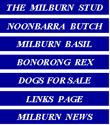 THE MILBURN STUD / NOONBARRA BUTCH/MILBURN BASIL/BONORONG REX/DOGS FOR SALE/NEWS